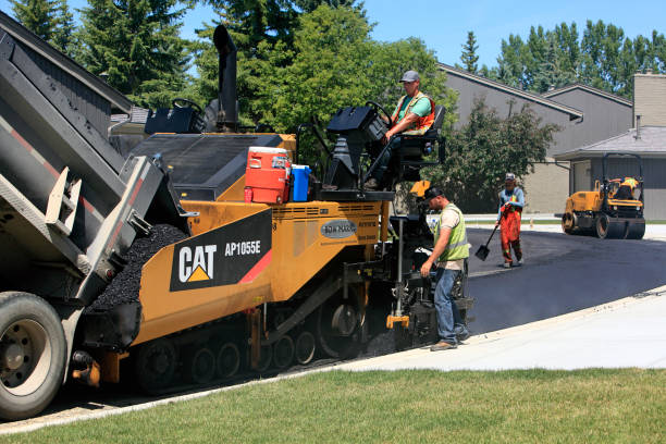 Best Professional Driveway Pavers  in Cambridge, IL